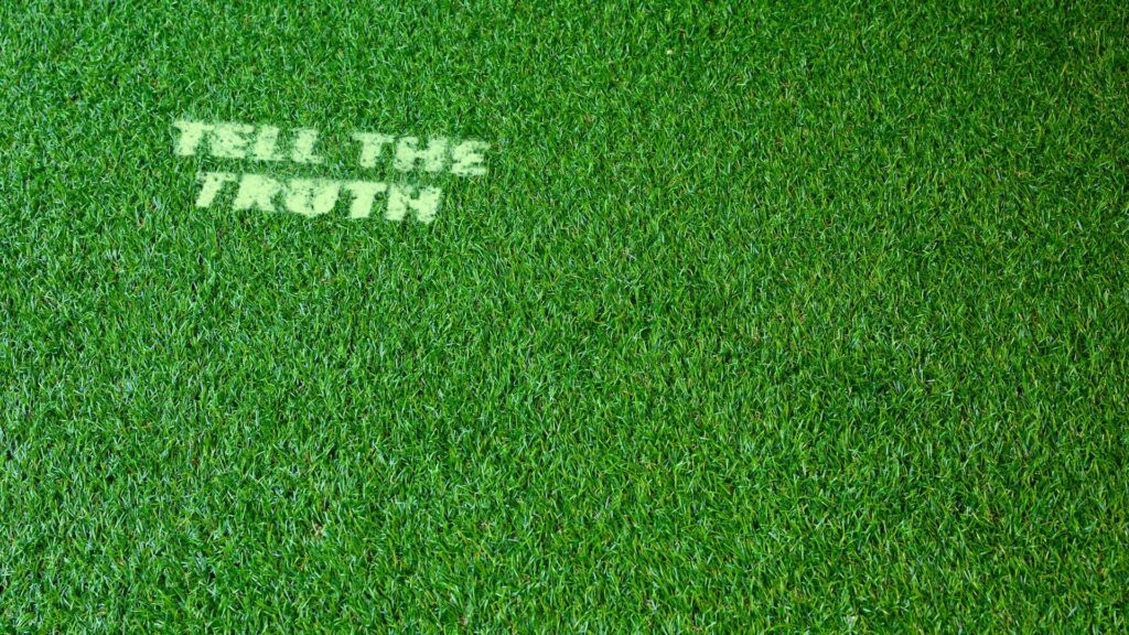 Caer en el greenwashing